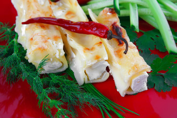 cheese cannelloni on red