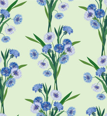 seamless pattern with bouquets of lilac and blue knapweeds