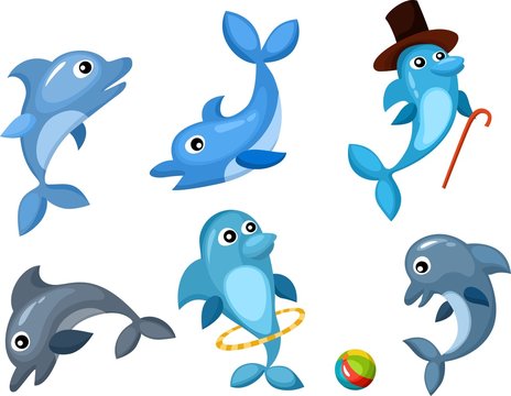 dolphin set