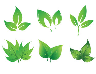 set of green vector leaves