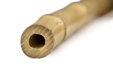 Bambusrohr Macro