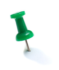 punaise verte sur fond blanc