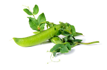 ripe peas with green leaf
