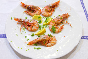 Shrimps with lemon slices and parsley on white plate