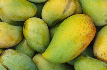 Mango fruit , thailand 