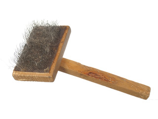 Old brush the dog or cat hair stuck to the, isolated on the whit