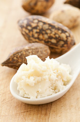 shea butter