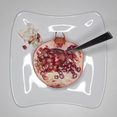 Granatapfel