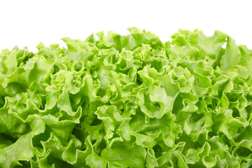 Green salad border on white, clipping path included