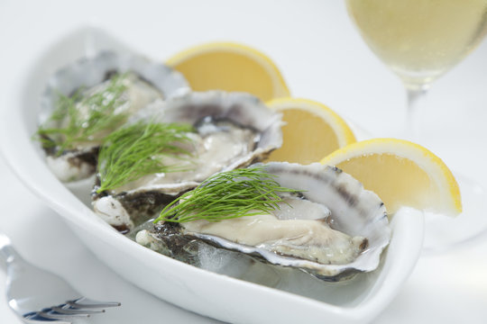 Fresh oysters