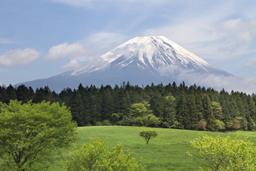 Naklejka premium Mt Fuji, Japan