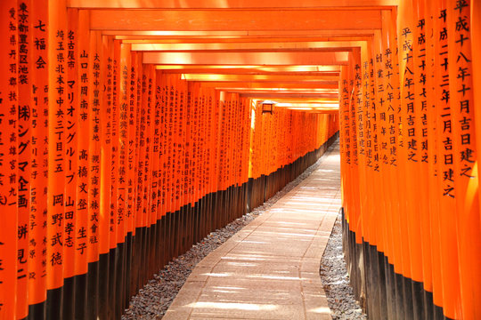 Torii gate tunnel in Kyoto, Japan 