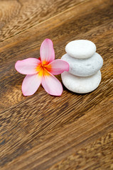 Fototapeta na wymiar Pink frangipani and white stone