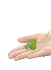 四ツ葉のクローバー
