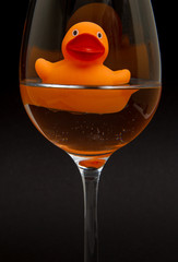 Orange rubber duck in a wineglass