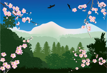 Kirschbaumblüten und Berglandschaft