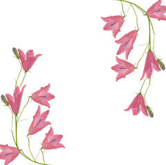 light pink bellflowers decoration