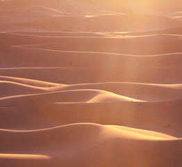 Desert