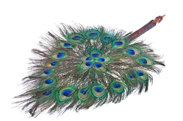 Fotobehang Peacock feathers © sattapapan tratong