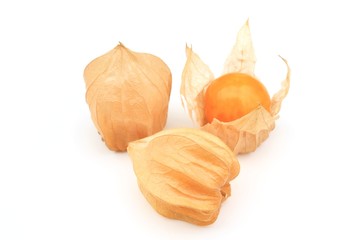 オレンジチェリー