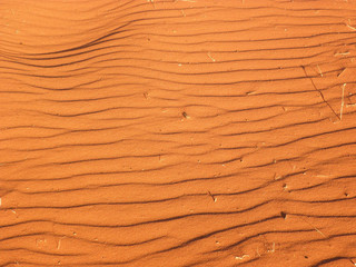 Kalahari Sand