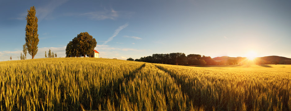 Sunset over wheat field with path and chapel in Slovakia © TTstudio