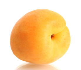 ripe sweet apricot isolated on white