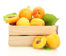 ripe apricots with green leaves in wooden box isolated on white