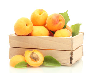 ripe apricots with green leaves in wooden box isolated on white