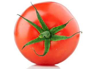 fresh tomato