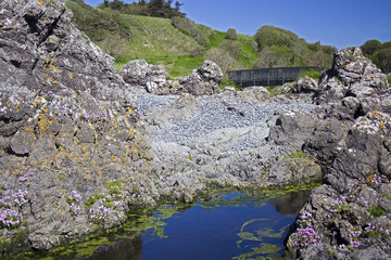 Shingle Beach and Wooden Bridge