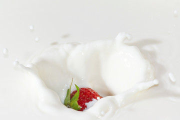 Fresh strawberry falling into the milk with a splash closeup