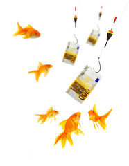 Goldfish and money © Sergii Figurnyi