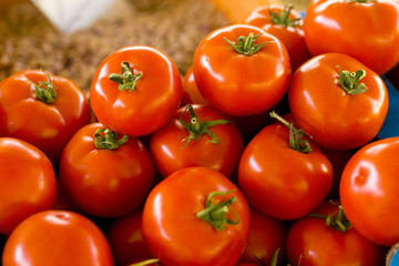 fresh tomatoes