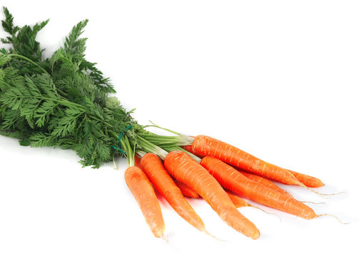 botte de carottes fane isolé sur fond blanc