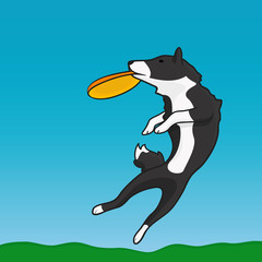 A dog and frisbee