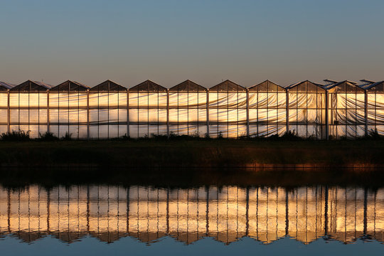 Front view of a greenhouse during sunset