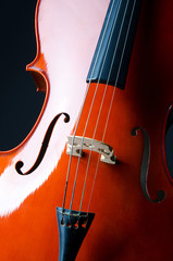 Music concept- close up of cello © Elnur