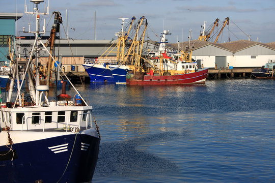 Fototapeta trawlers in Brixham harbour