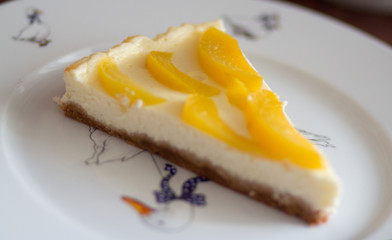 Homemade cheesecake (Focus on the centre line of the cake)