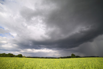 Field and clouds.
