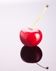 single cherry