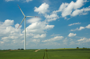 Fototapeta premium Windmill