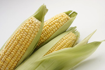 Sweet corn