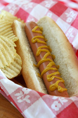 Hot Dog
