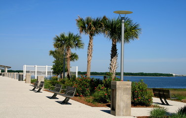 Molo con Palme a Mount pleasant, South Carolina.