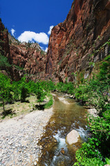 Zion National Park a Walk through narrows