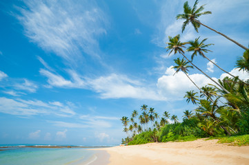 Tropical beach