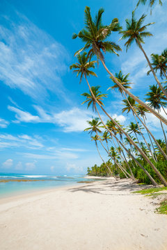 Fototapeta Tropical beach