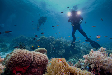 videographer underwater